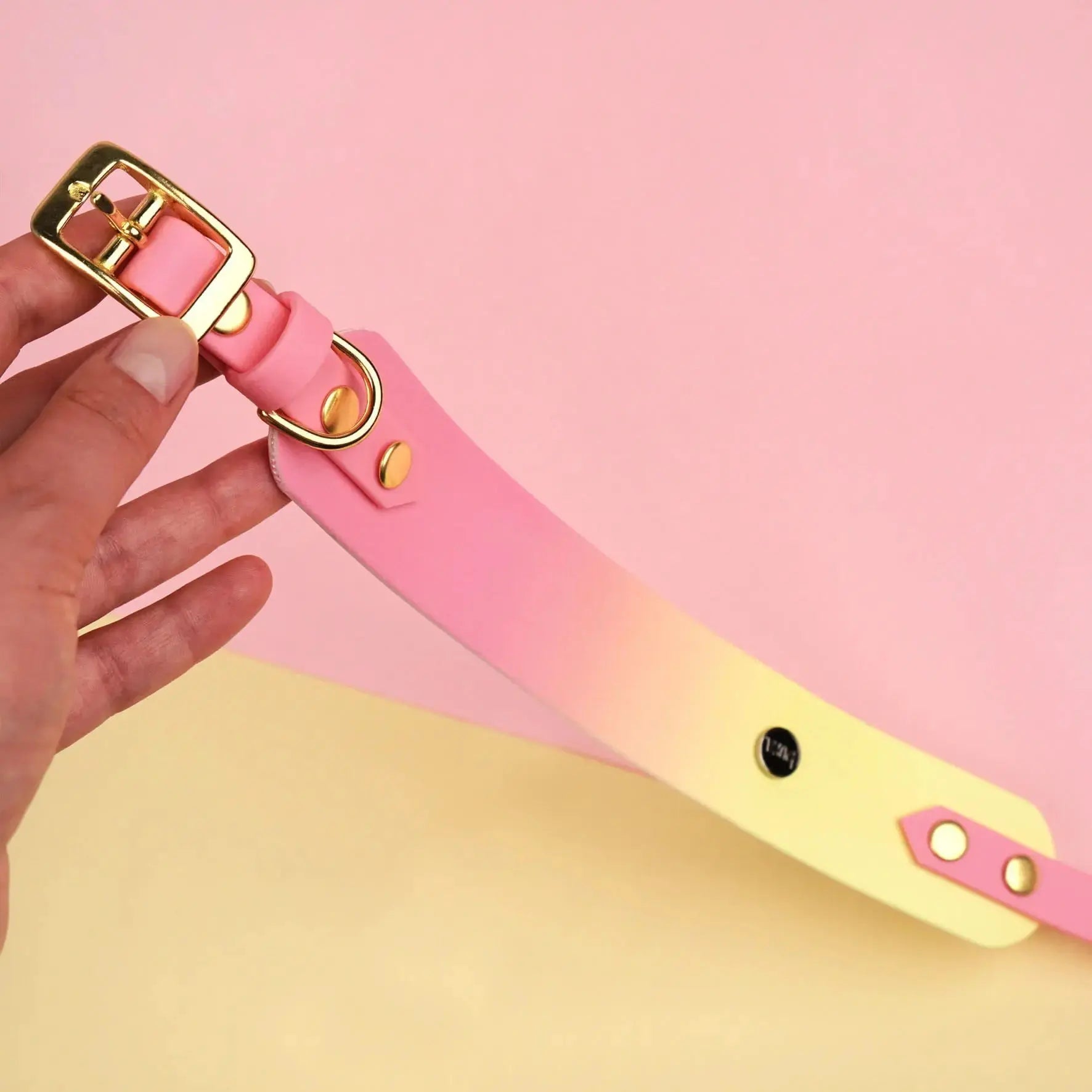 Obroża dla Charta na sprzączkę, Pink Malibu BURA