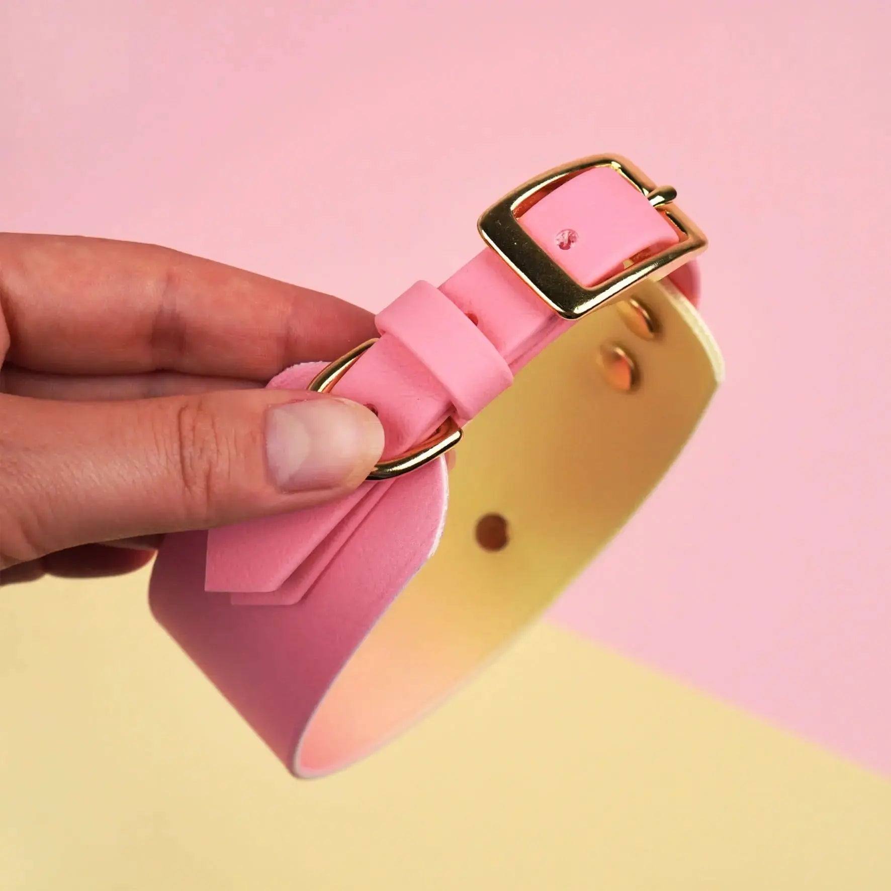 Obroża dla Charta na sprzączkę, Pink Malibu BURA