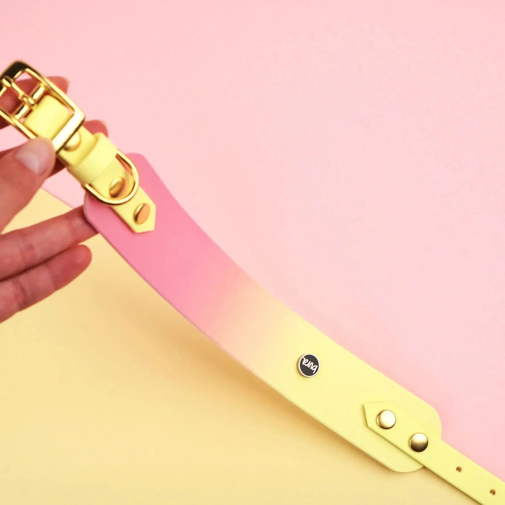 Obroża dla Charta na sprzączkę, Pink Malibu BURA