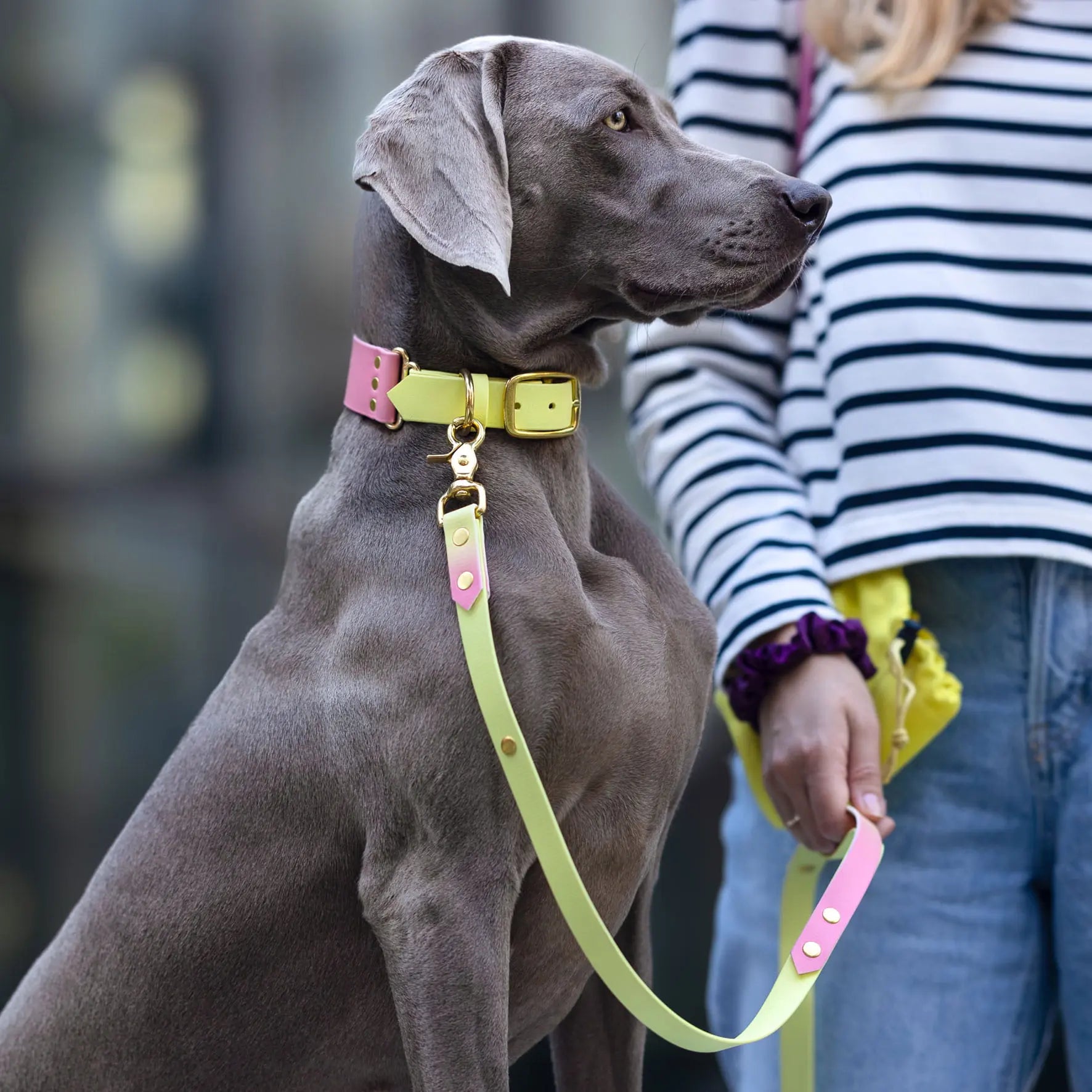 Szeroka obroża na sprzączkę, Pink Malibu BURA