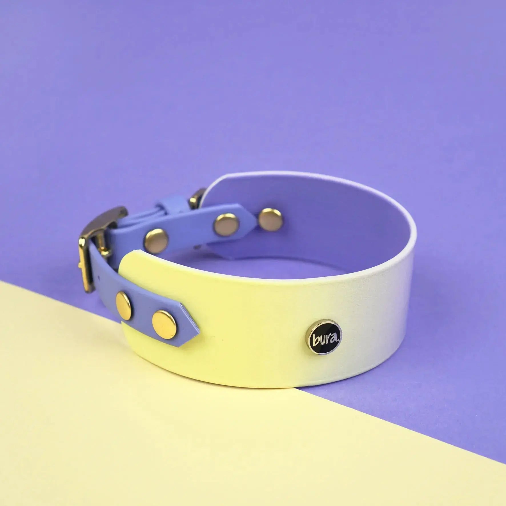 Obroża dla Charta na sprzączkę, Lavender Haze BURA