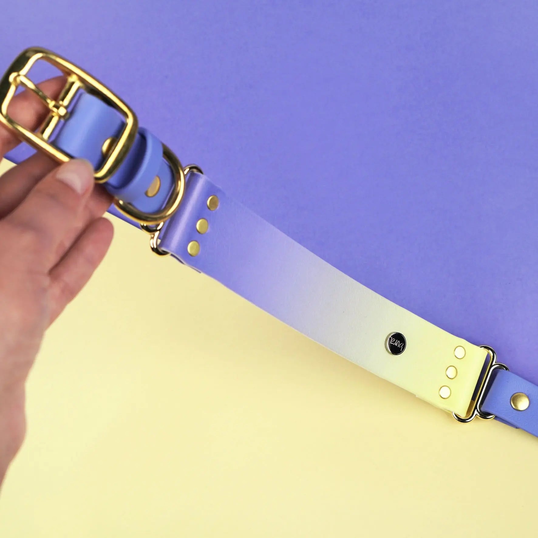 Szeroka obroża na sprzączkę, Lavender Haze 