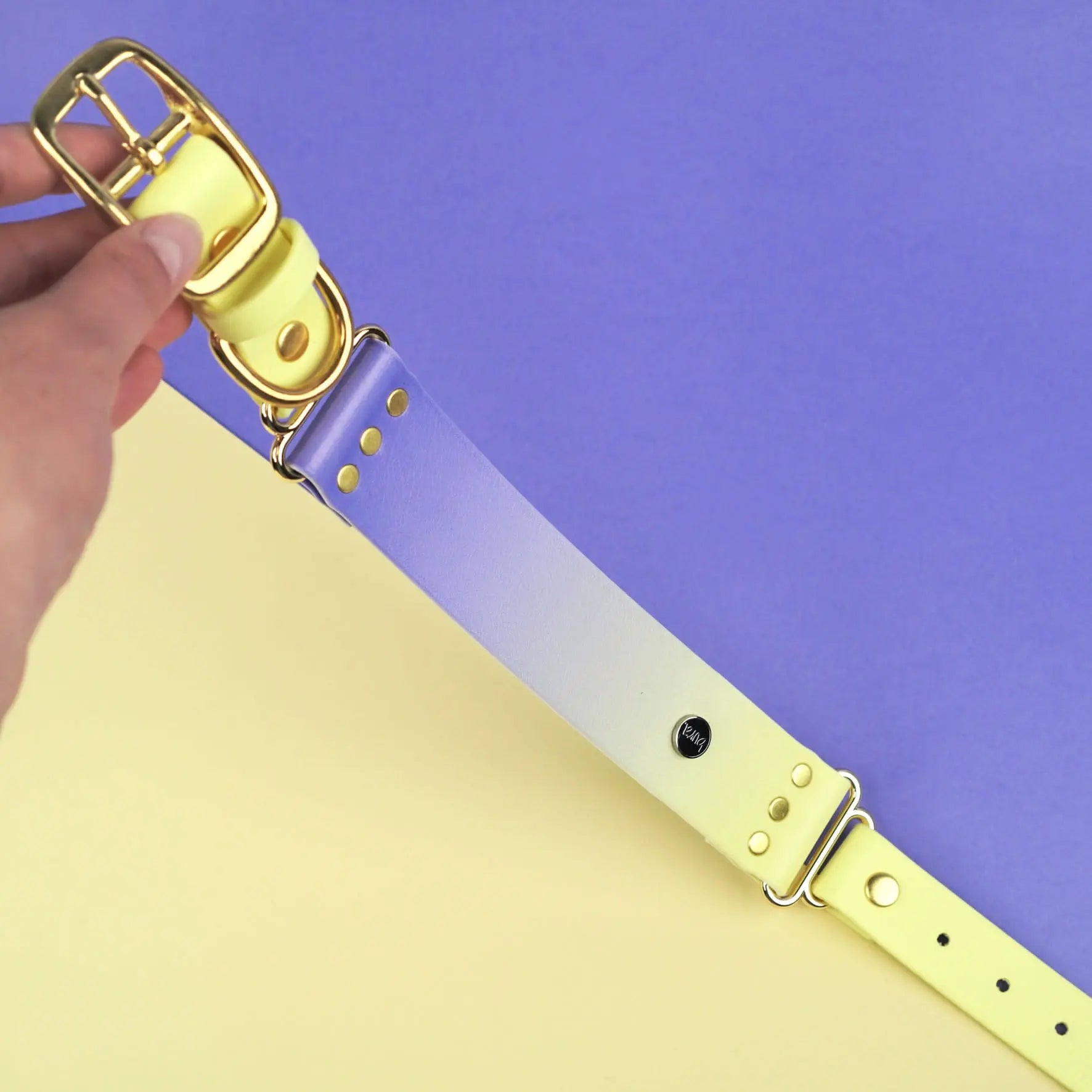 Szeroka obroża na sprzączkę, Lavender Haze 