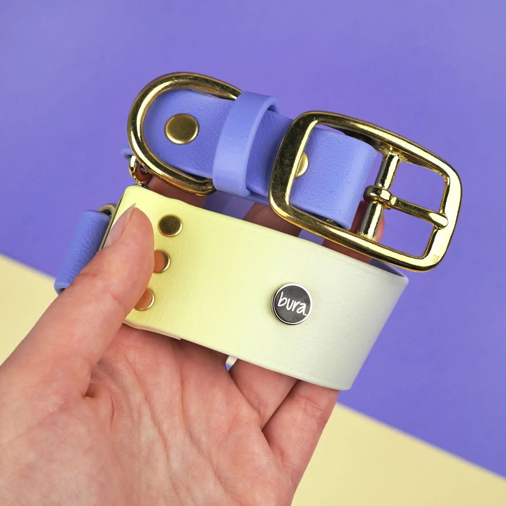 Szeroka obroża na sprzączkę, Lavender Haze BURA