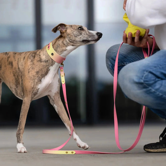 Smycz przepinana multifunkcyjna z Biothane dla psa, Pink Malibu BURA