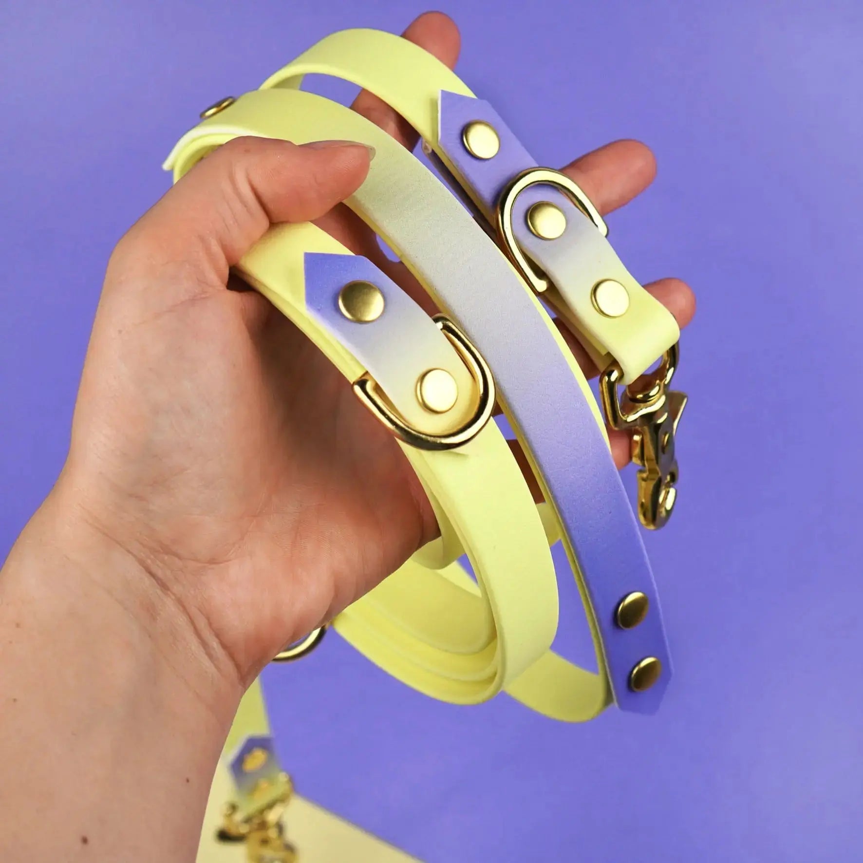 Smycz przepinana multifunkcyjna z Biothane dla psa, Lavender Haze BURA