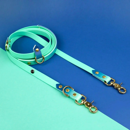 Smycz przepinana multifunkcyjna z Biothane dla psa, Blue Lagoon BURA