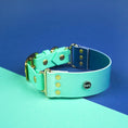 Załaduj obraz do przeglądarki galerii, Szeroka obroża na sprzączkę, Blue Lagoon BURA
