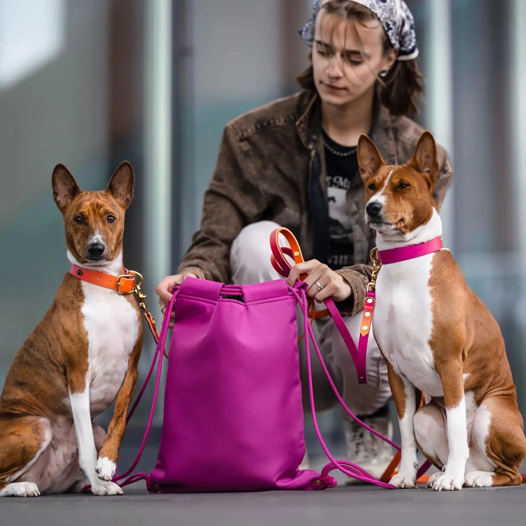 Smycz przepinana multifunkcyjna z Biothane dla psa, Tequila Sunrise BURA