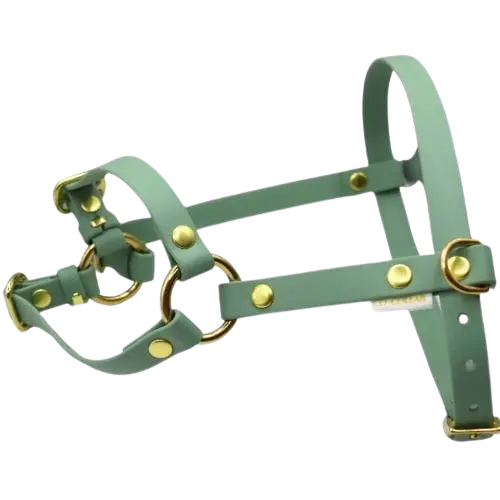 Szelki z regulacją BioThane Sage Green Co Collar