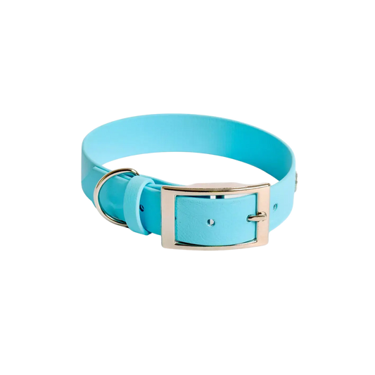 Obroża na sprzączkę dla psa, błękit / I'm buldog... BURA