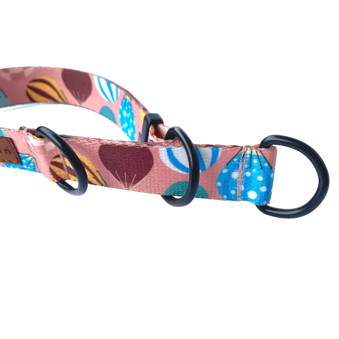 Obroża półzaciskowa Kapsidocja psistań