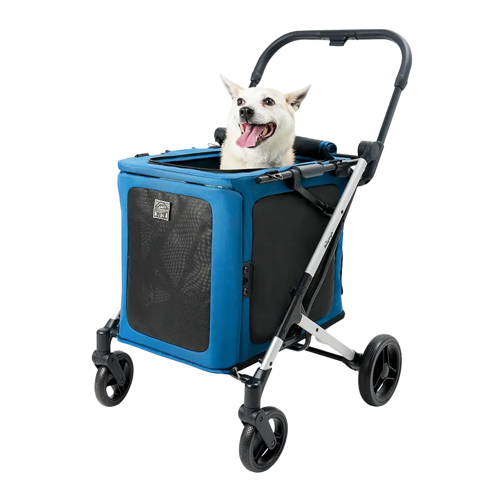 Ibiyaya Wózek BigBuddy - Crystal Teal Ibiyaya