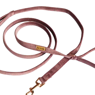 Smycz miejska Wrzosowy Psotnik Psotnik