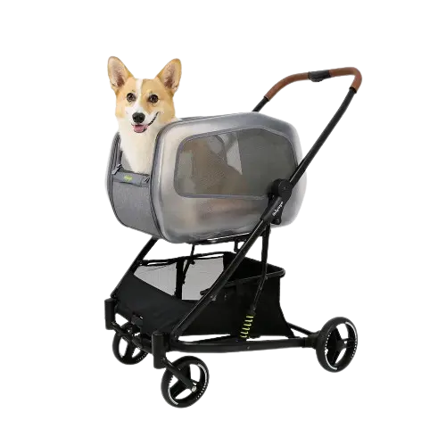 Ibiyaya Wózek dla psa i kota Neorider Ibiyaya