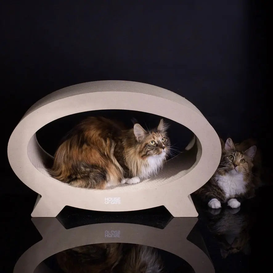 Drapak dla kota Elipso Eco House of Cats