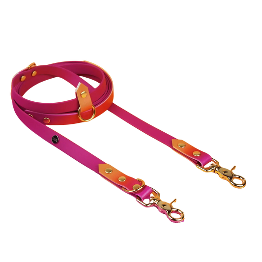 Smycz przepinana multifunkcyjna z Biothane dla psa, Tequila Sunrise BURA