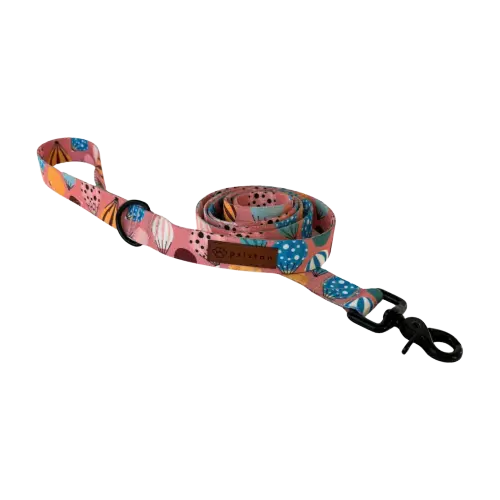 Smycz miejska Kapsidocja psistań