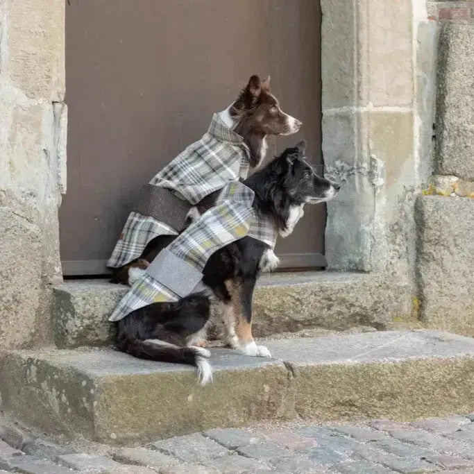 Płaszczyk dla psa LEAF szary Bowl & Bone