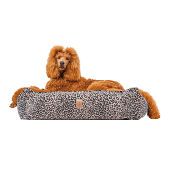 Legowisko Leo psykryj mnie