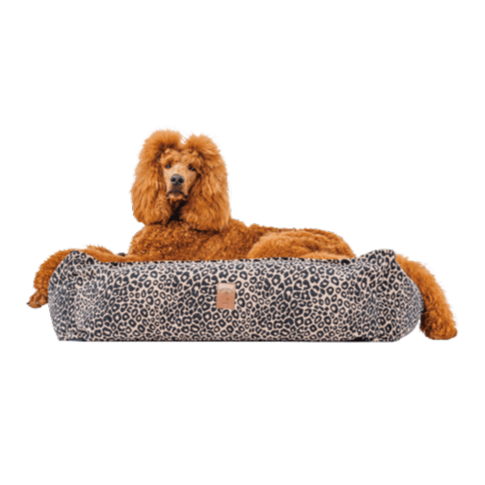 Legowisko Leo psykryj mnie