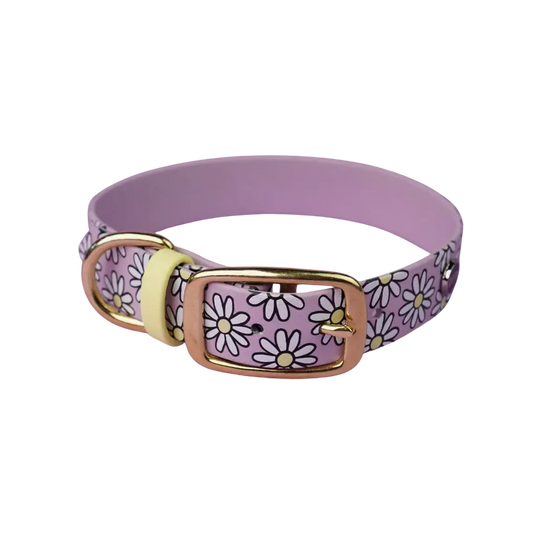 Obroża na sprzączkę dla psa, Stokrotki / lilia BURA