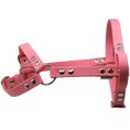 Załaduj obraz do przeglądarki galerii, Szelki z regulacją BioThane Flamingo Pink Co Collar
