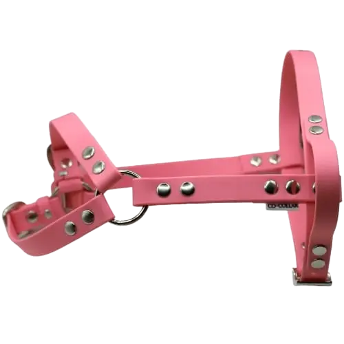 Szelki z regulacją BioThane Flamingo Pink Co Collar