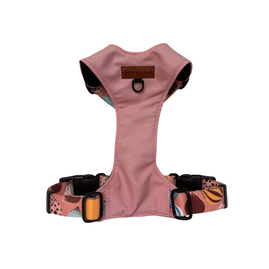 Szelki bezuciskowe Kapsidocja psistań