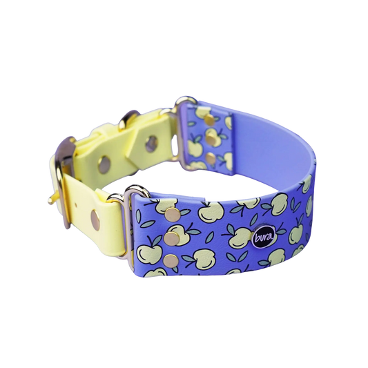 Szeroka obroża na sprzączkę, Jabłuszka / niebiesko-lawendowy BURA