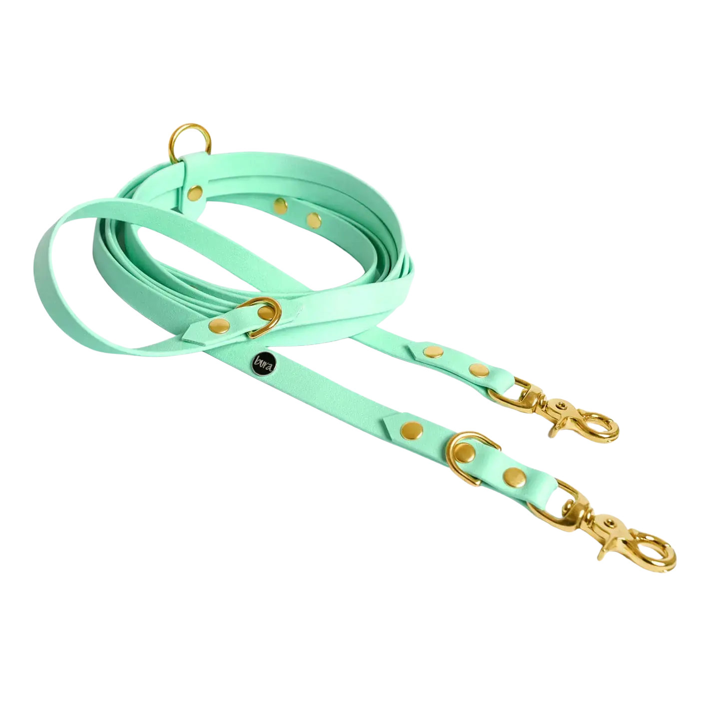 Smycz przepinana multifunkcyjna z Biothane dla psa, miętowy / psia miętka BURA