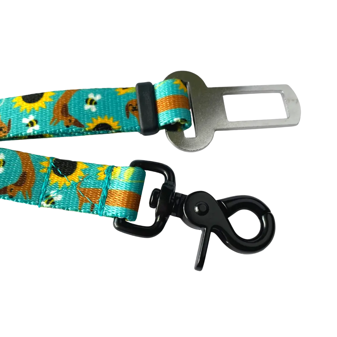 Pas bezpieczeństwa Dłuuugie podróże psistań