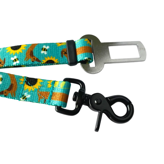 Pas bezpieczeństwa Dłuuugie podróże psistań