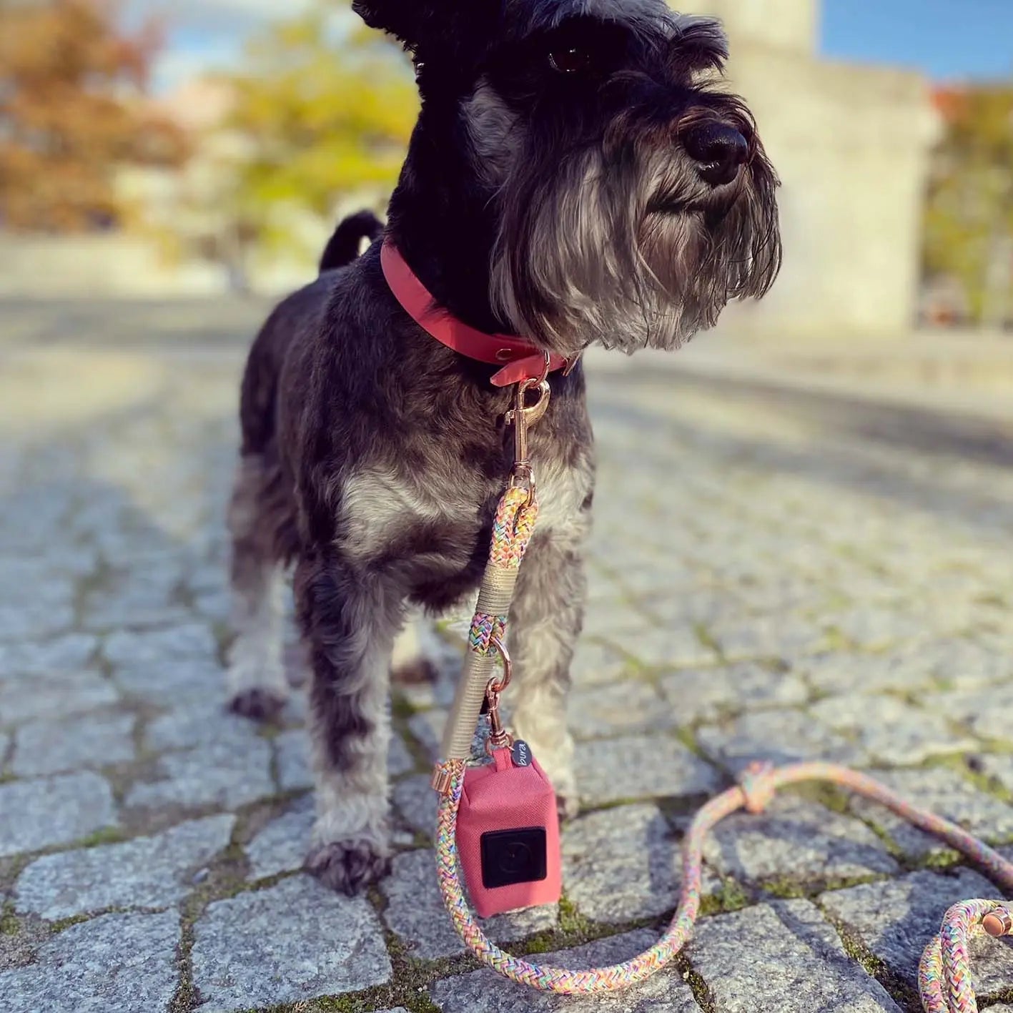 Etui na woreczki Psiutti frutti / koral BURA