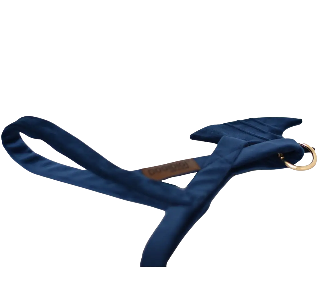 Szelki dla psa Shark DOGIDIGI