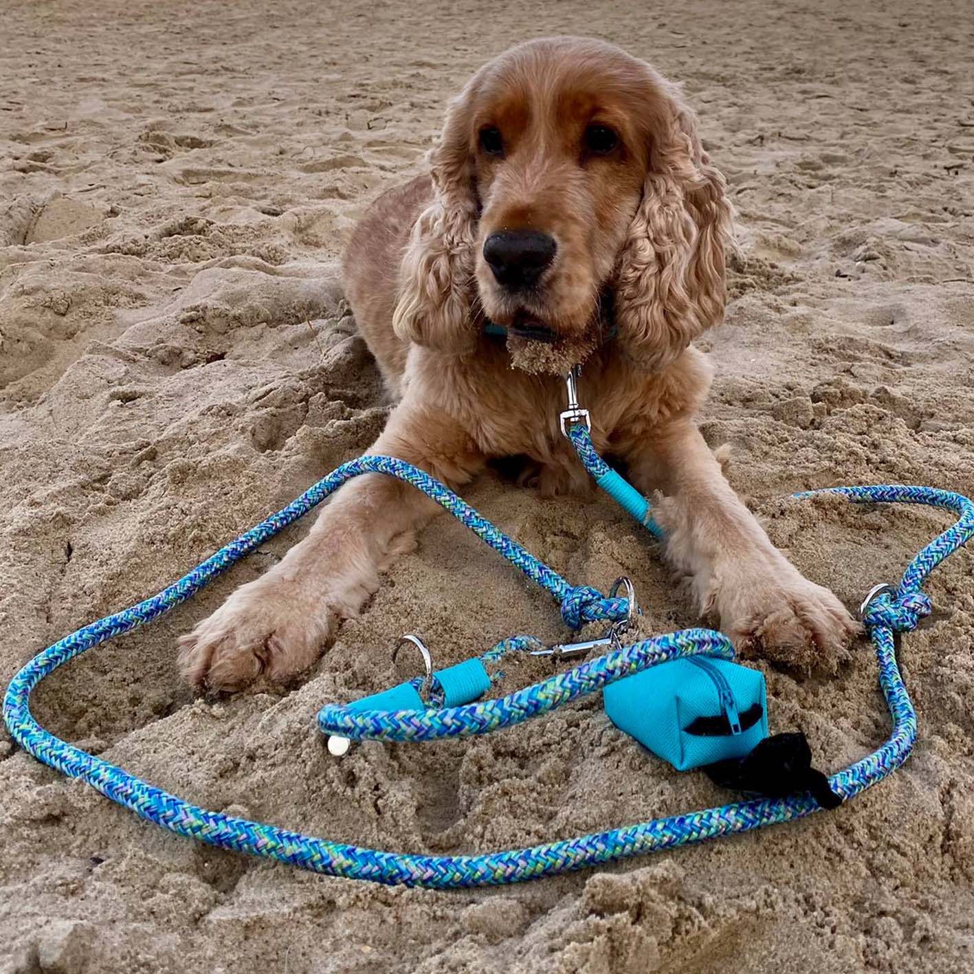 Etui na woreczki, błękit / I'm buldog... da ba dee da ba daa BURA