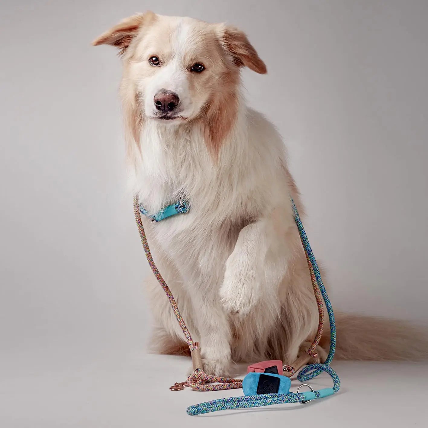 Etui na woreczki, niebieski / I'm buldog... da ba dee da ba daa BURA