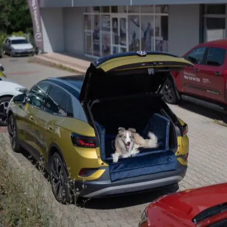 Zabudowa bagażnika do transportu psa - samochód osobowy DOGIDIGI