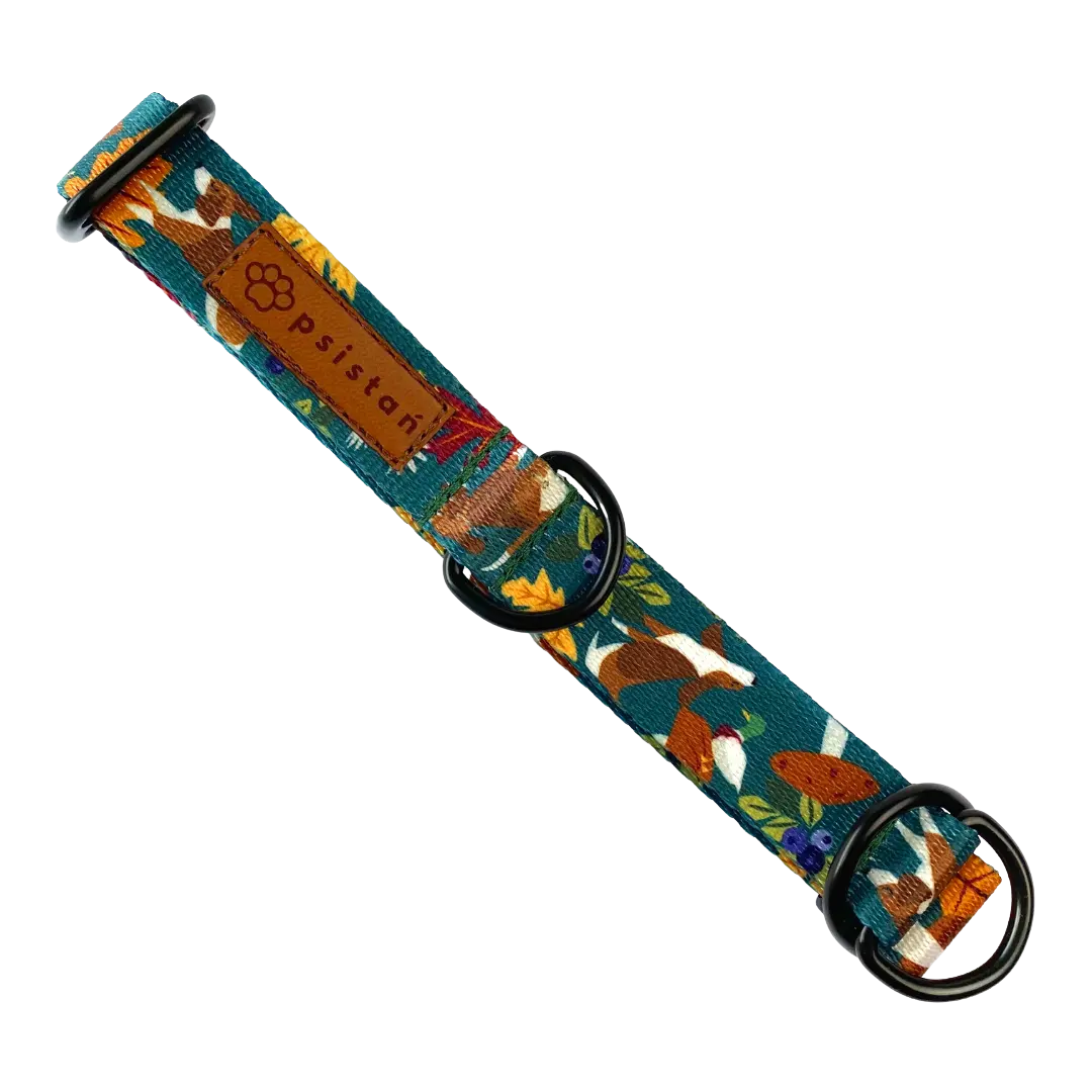 Obroża półzaciskowa Leśne harce psistań