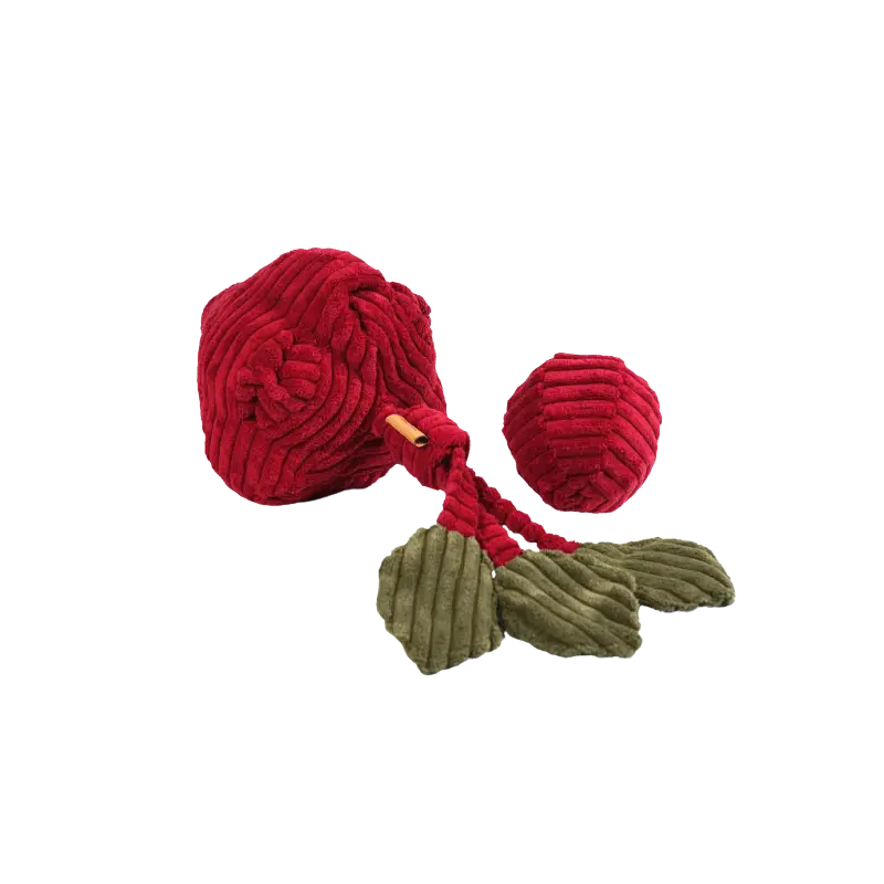 Zabawka węchowa Burak psykryj mnie