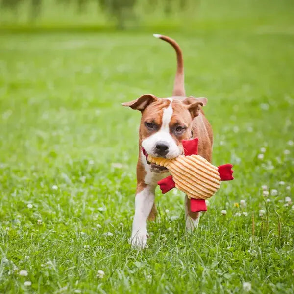 Zabawka dla psa DUCKIE Bowl & Bone