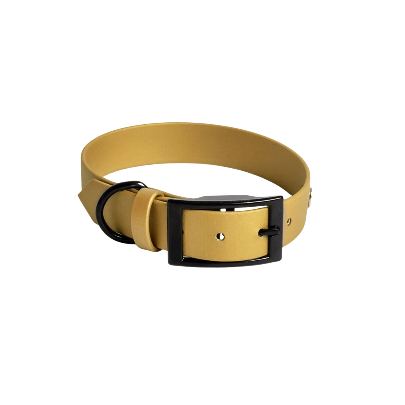 Obroża na sprzączkę dla psa, złoty / psiowe carmeLOVE, chocolate... HAU good! BURA