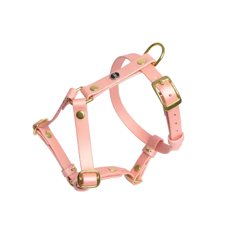 Szelki guard dla psa z Biothane (produkt personalizowany) BURA