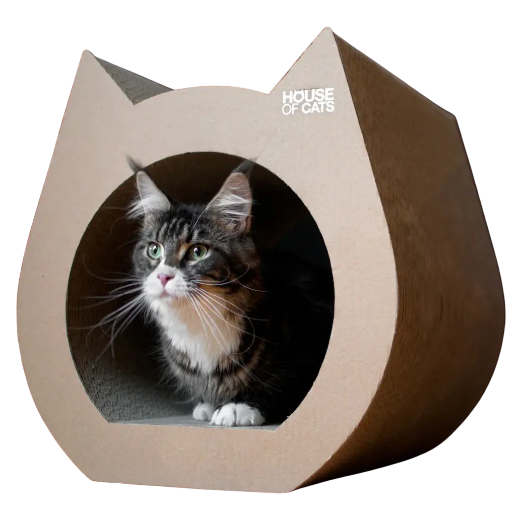 Drapak dla kota Cat Eco House of Cats