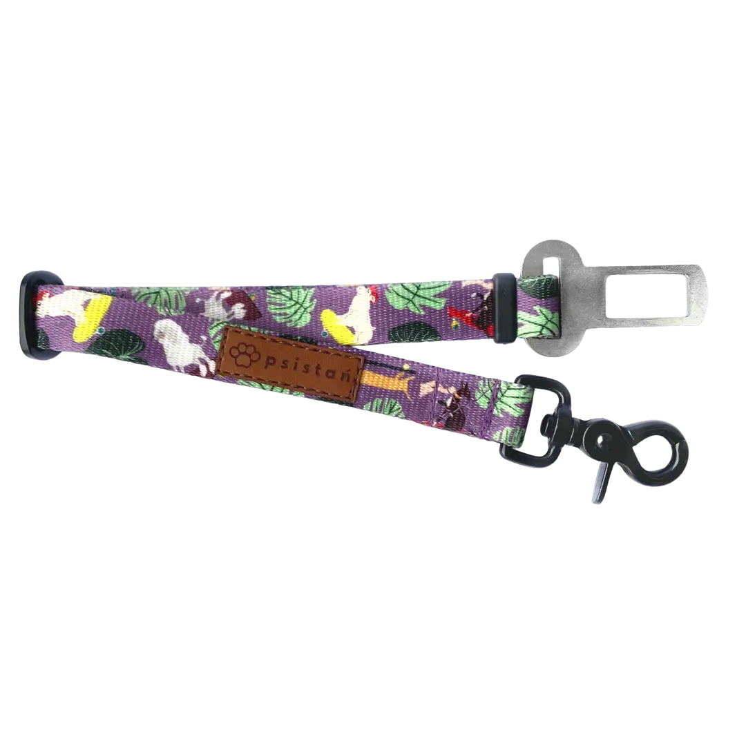 Pas bezpieczeństwa Pieski na deski! psistań