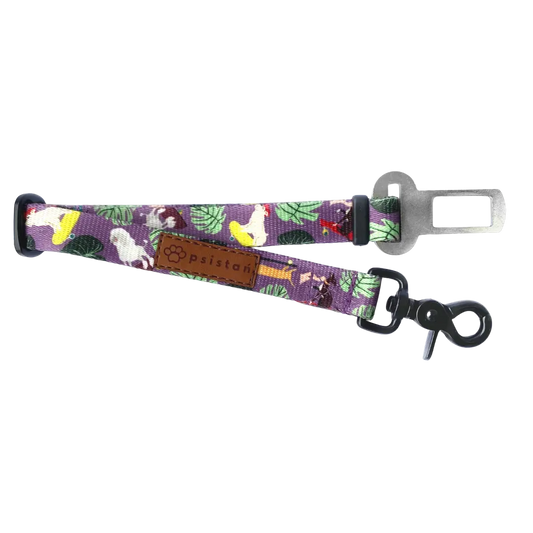 Pas bezpieczeństwa Pieski na deski! psistań