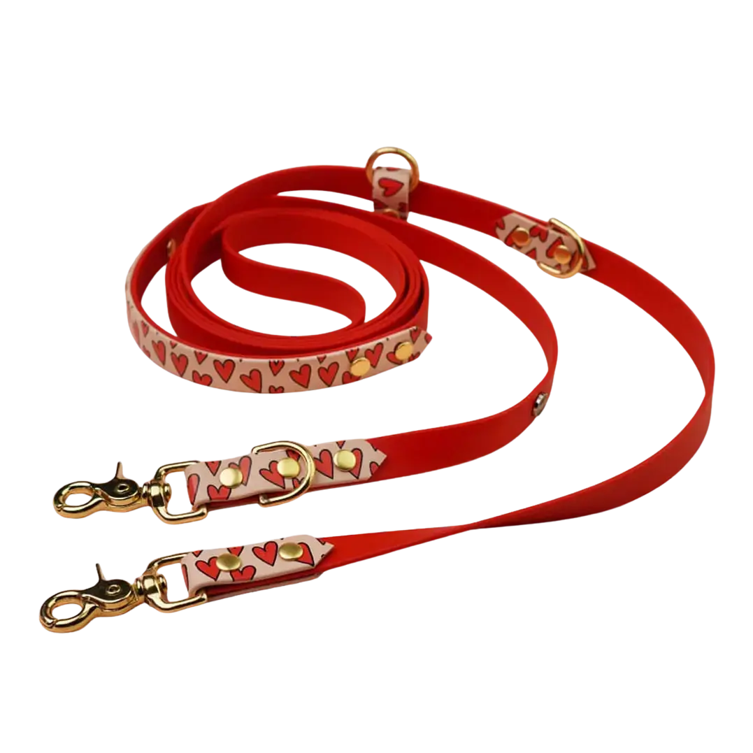 Smycz przepinana multifunkcyjna z Biothane dla psa, Serca / czerwony,  pudrowy BURA