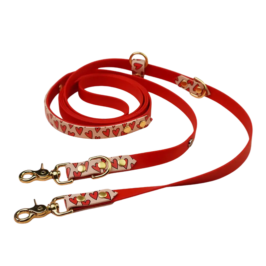 Smycz przepinana multifunkcyjna z Biothane dla psa, Serca / czerwony,  pudrowy BURA