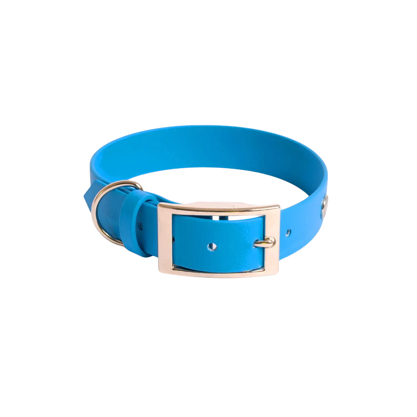 Obroża na sprzączkę dla psa, niebieski / I'm buldog... BURA