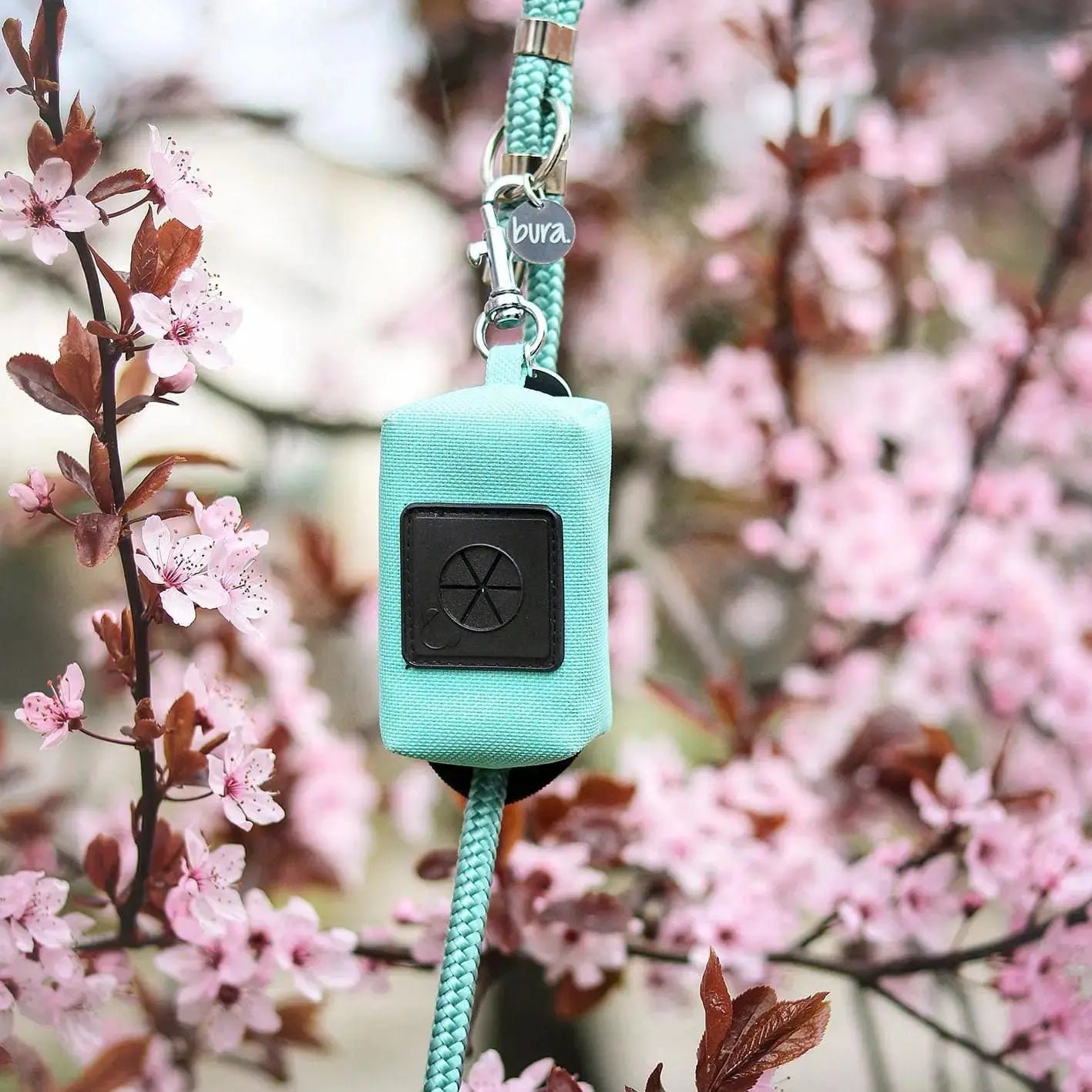 Etui na woreczki, miętowy / psia miętka BURA